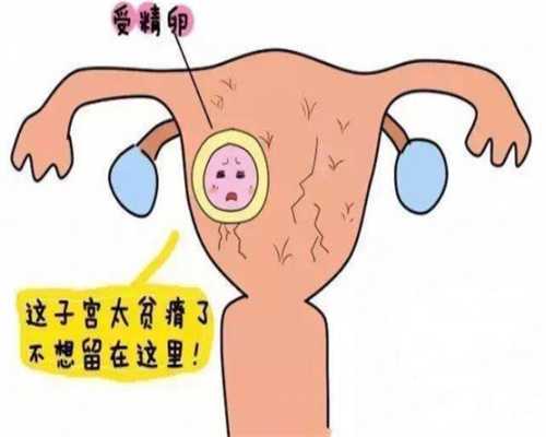 武汉南方医院有代孕：备孕感冒了能吃药吗