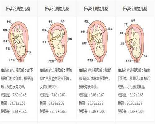 武汉助孕流程,从怀孕到分娩女性子宫变化有多大