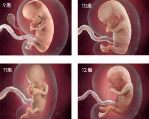 2019年武汉代孕生子公司,这些行为伤害你的卵巢，