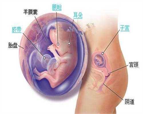 武汉代孕包儿子_益生菌可以减少湿疹