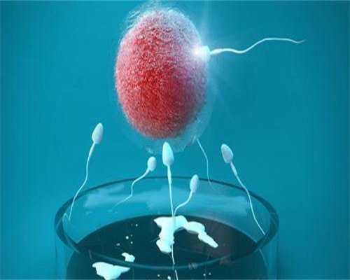 双胞胎代孕网-代孕网成功率高吗-代孕可以选性别吗