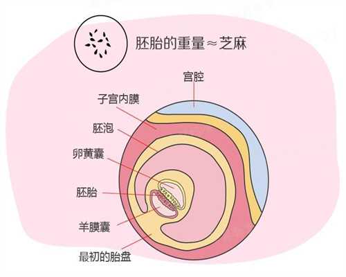 武汉代孕一对一咨询_一般人工代孕需多少钱_正规医院可以代孕吗