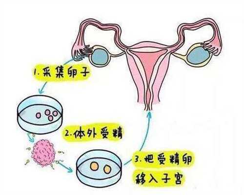 武汉代孕咨询_代孕孩子的流程_代孕小孩的女孩